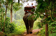Хуа Хин Сафари (Hua Hin Safari & Adventure Park)