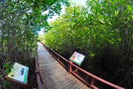The Sirindhorn International Environmental Park