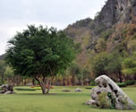 Природный Парк Ча Ам (Cha Am Forest Park)