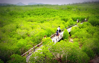 Природный парк Пранбури (Pranburi Forest Park)