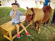 Pony Valley Farm в Ча Ам